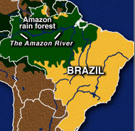 Brail Rain Forest Map Brazil Rain Forest Map
