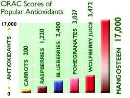 Freeze Dried Rich Pericarp Mangosteen ORAC Values Freeze Dried Rich Pericarp Mangosteen ORAC Values